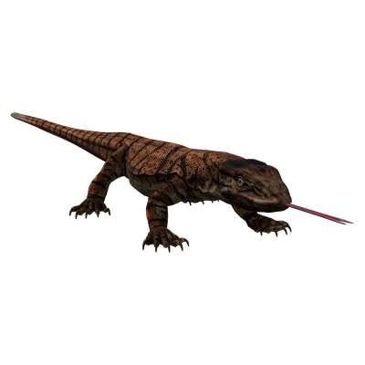 Desert Monitor