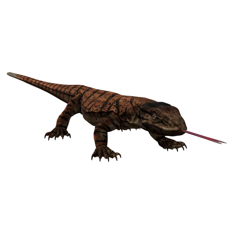 Desert Monitor