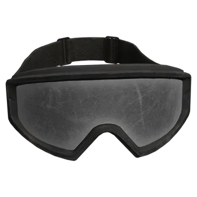 Dust Goggles