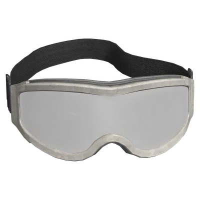 Ski Goggles
