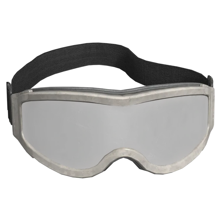 Ski Goggles