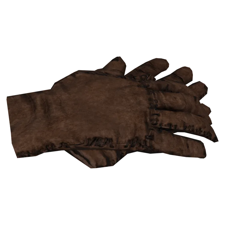 Leather Gloves