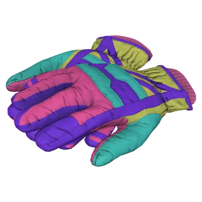 Ski Gloves