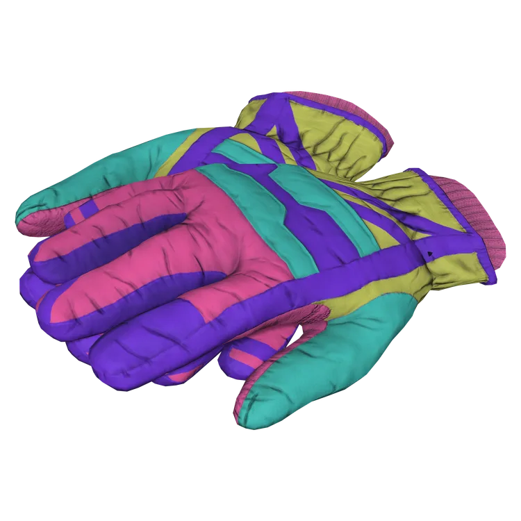 Ski Gloves