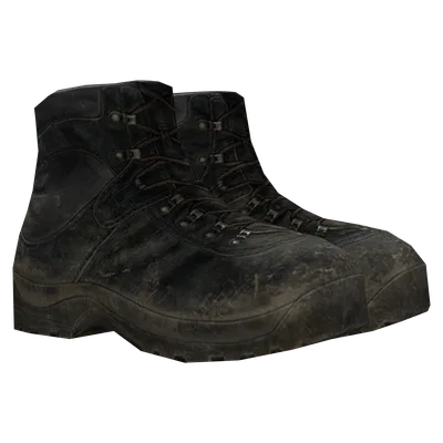 Hiking Boots