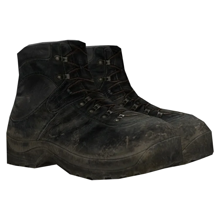 Hiking Boots