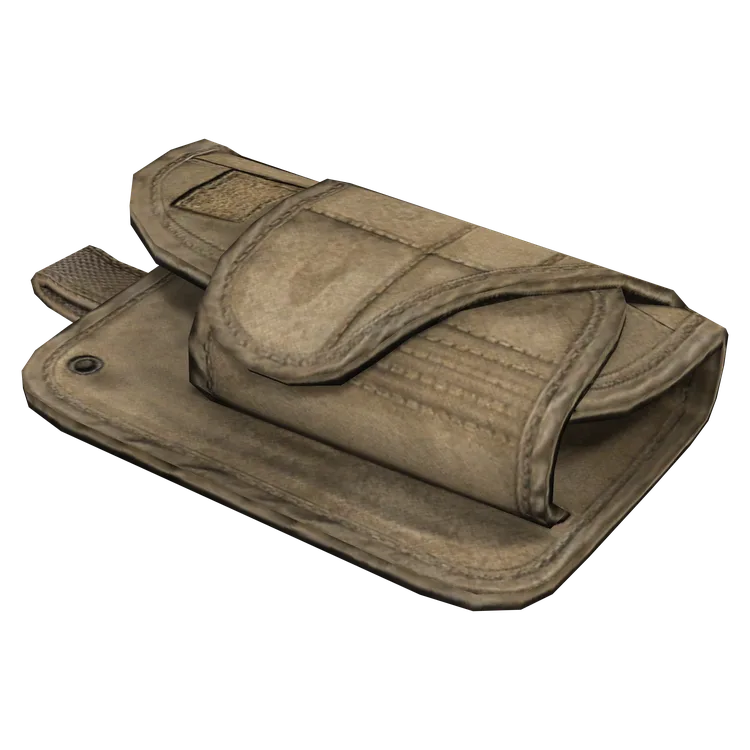 Holster