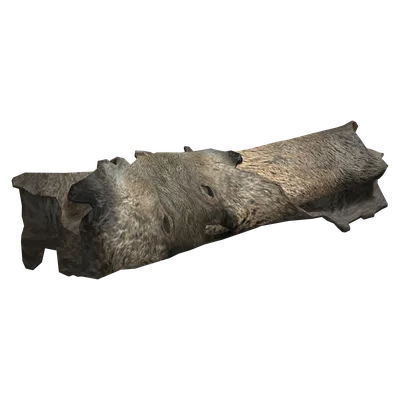 Boar Pelt