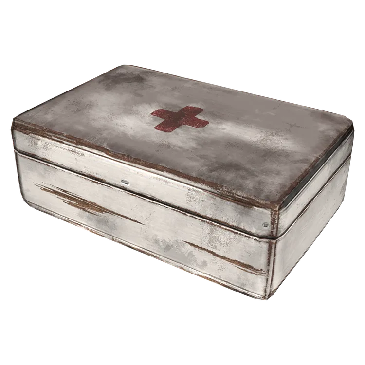 Medical Storage Case