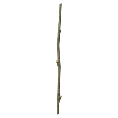 Long Stick