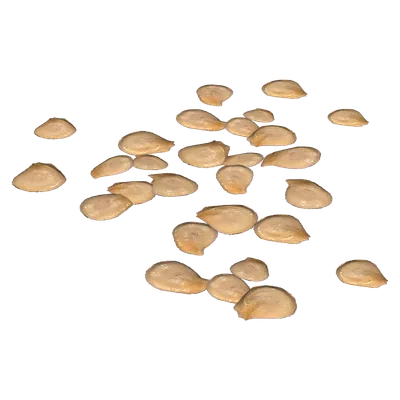 Pepper Seeds