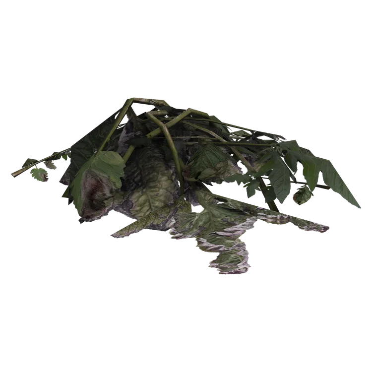 Plant Material