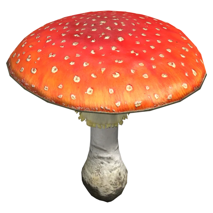 Fly Amanita