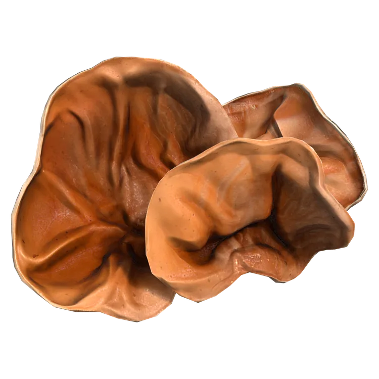 Wood Ear