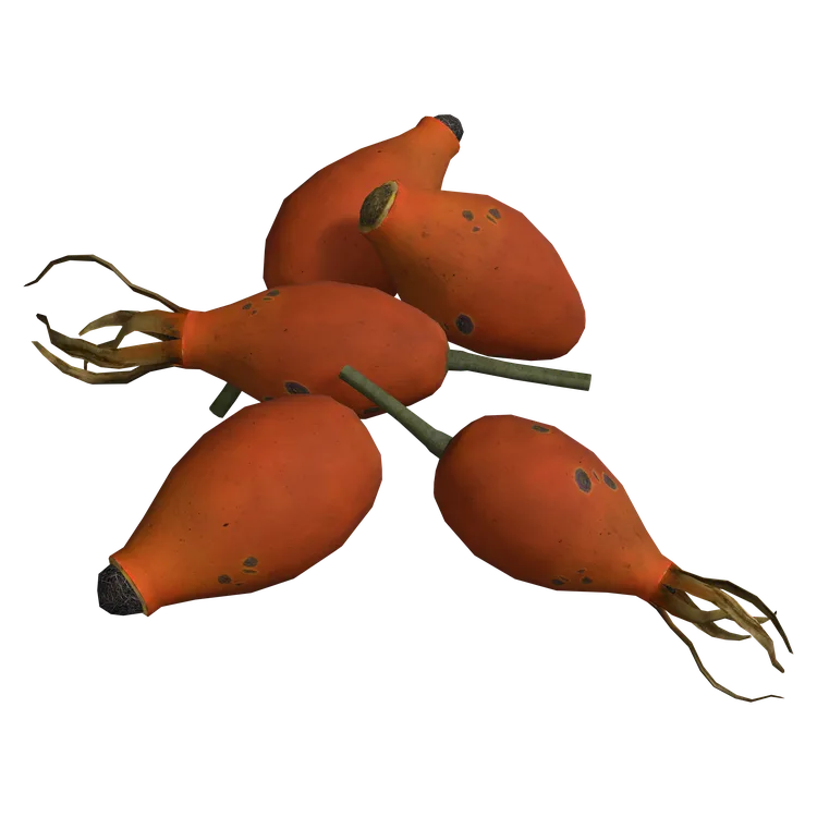 Rose Hips