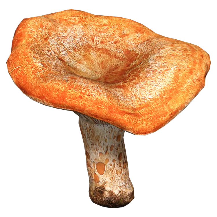 Red Pine Mushroom