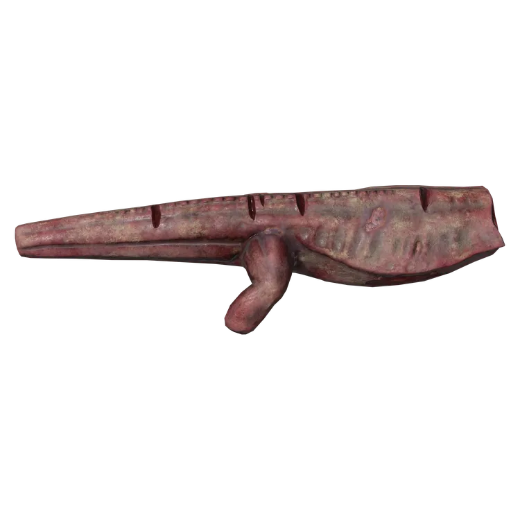 Lizard Meat