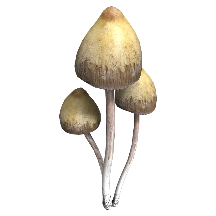 Liberty Cap