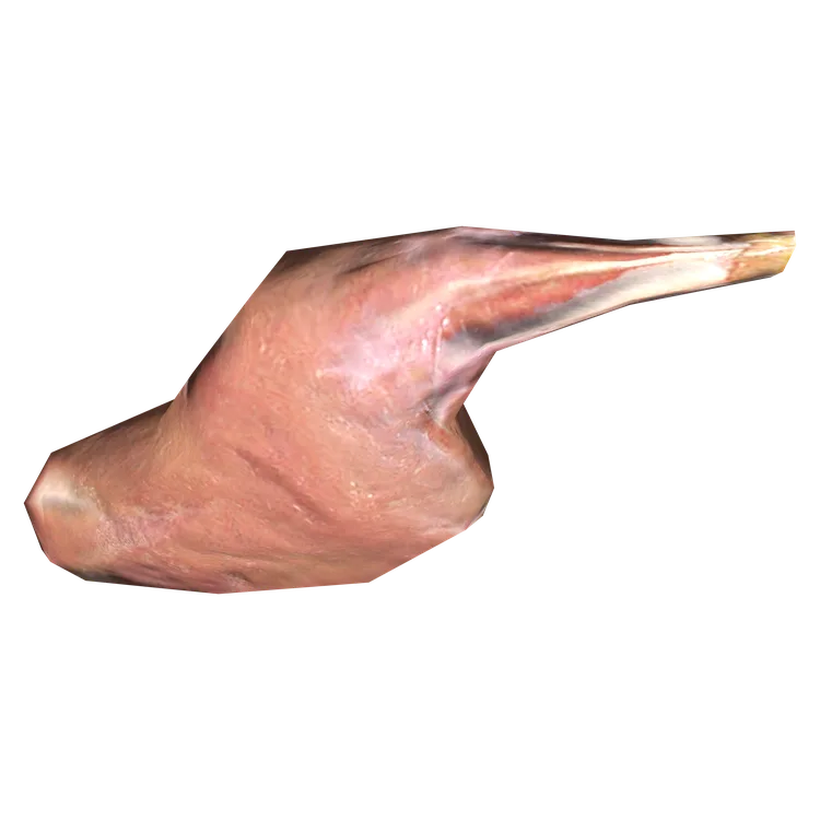 Hare Leg