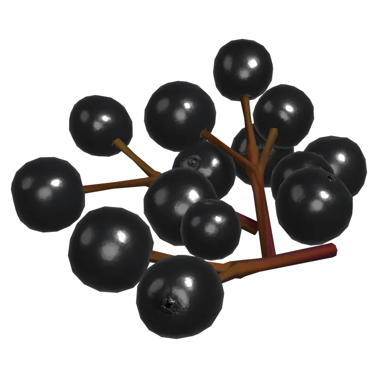 Elderberries
