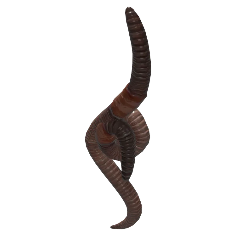 Earthworm