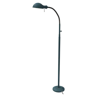 Gooseneck Light