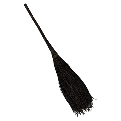 Birch Broom