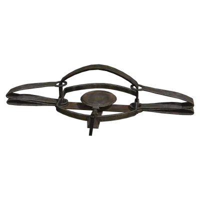 Bear Trap
