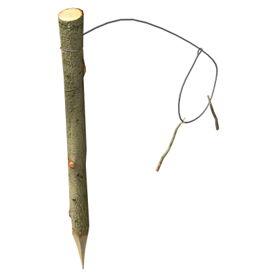 Snare Trap