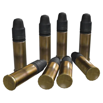 .22 LR Rounds