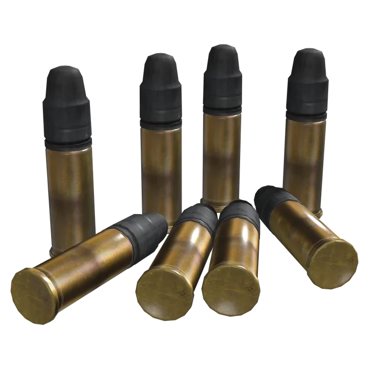 .22 LR Rounds