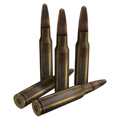 .308 WIN Rounds
