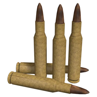 .338 Lapua Magnum