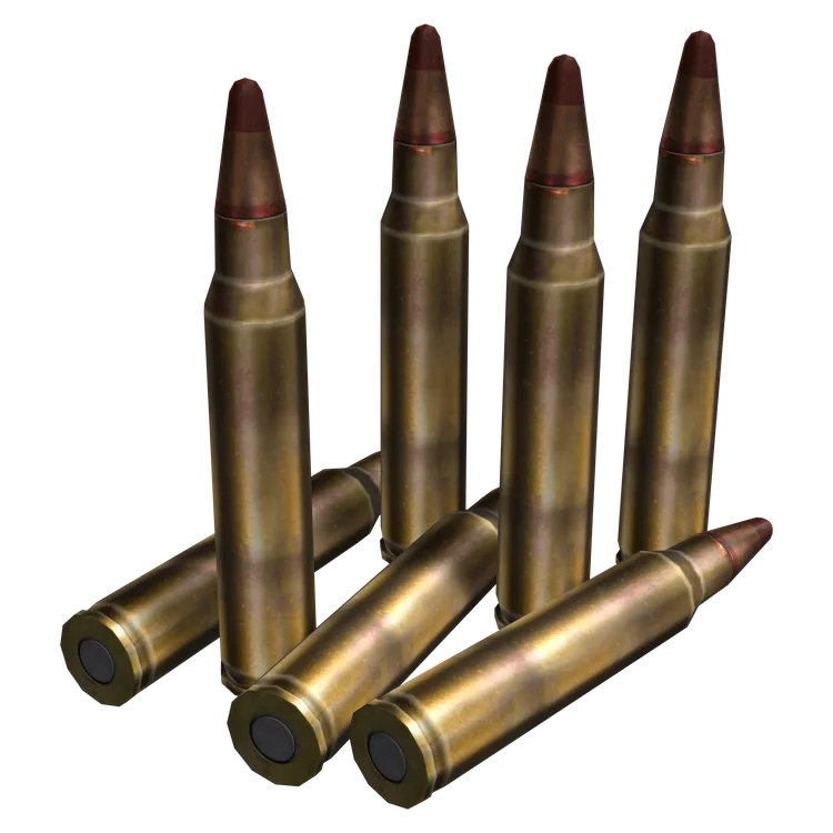 5.56x45mm Tracer Rounds