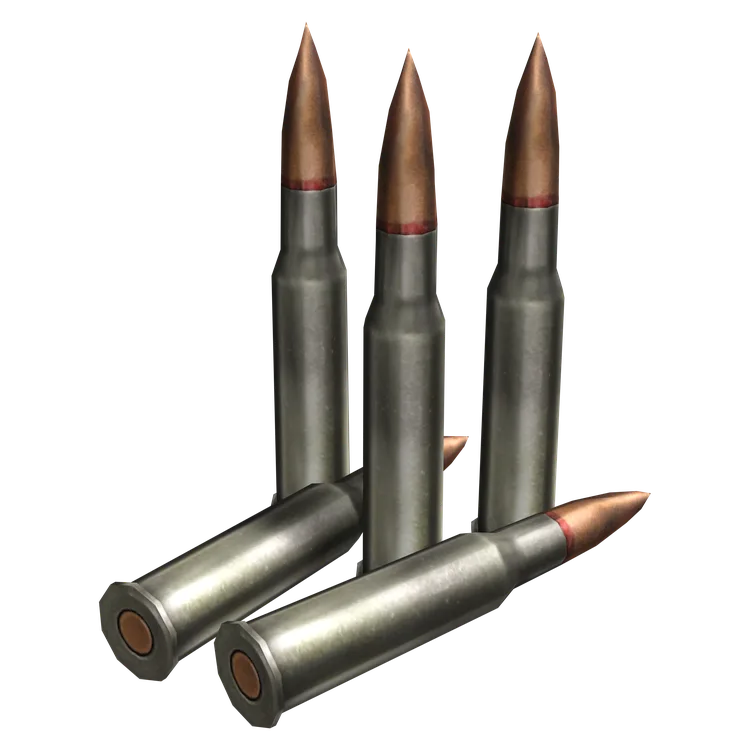 7.62x54mmR Rounds