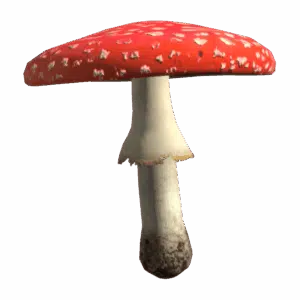 AmanitaMushroom