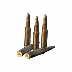 Ammo 308Win