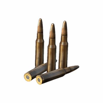 .308 WIN Rounds