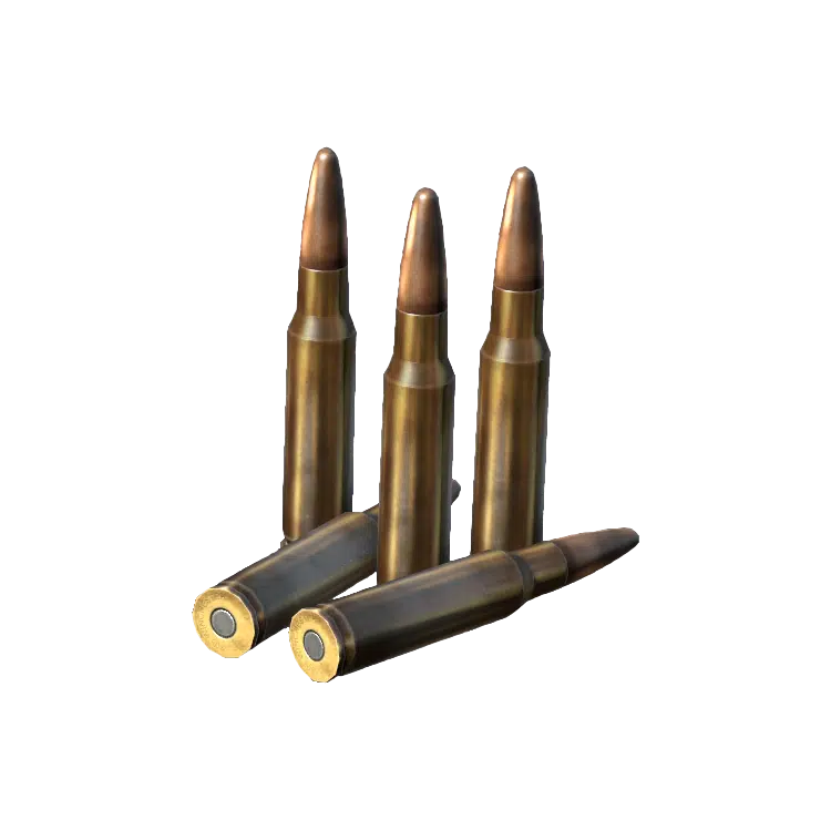 .308 WIN Rounds