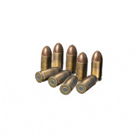 .45 ACP Rounds