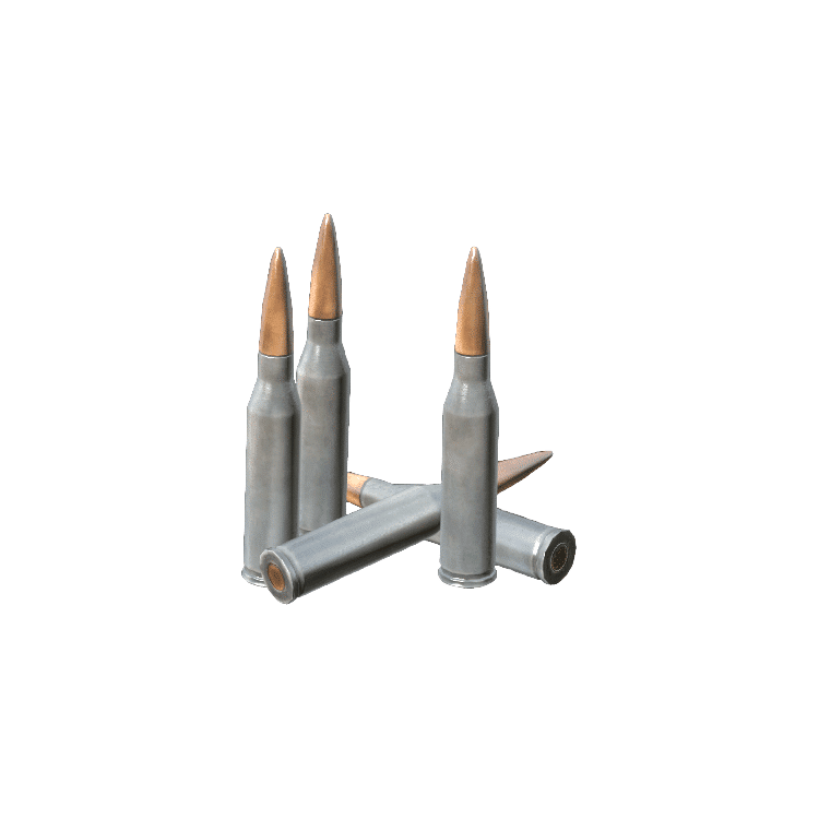 5.45x39mm Rounds