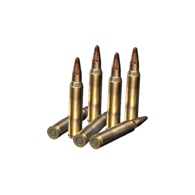 5.56x45mm Rounds