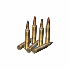 Ammo 556x45Tracer