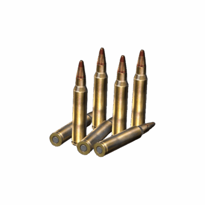 5.56x45mm Tracer Rounds