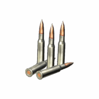 7.62x54mmR Rounds