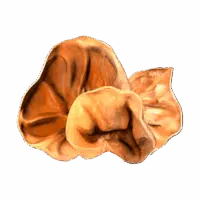 Wood Ear