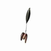 Fishing Bait