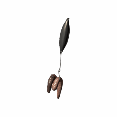 Fishing Bait
