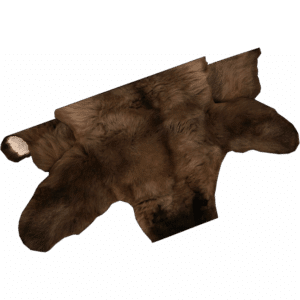 Bear Pelt