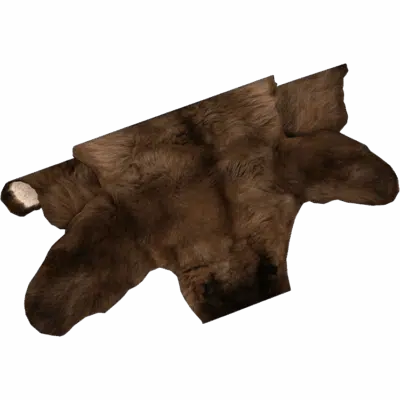Bear Pelt